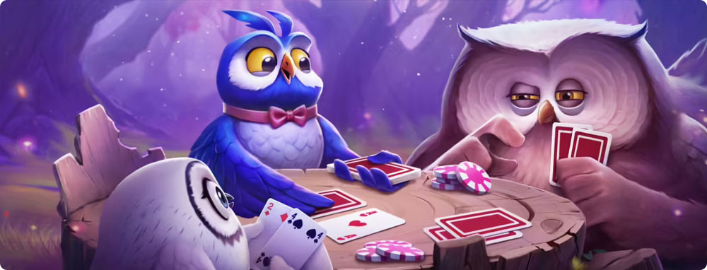 Spinight Casino Login Bonuses